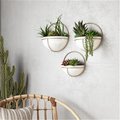 Aspire Home Accents Isley Modern Wall Planters; White & Gold 7159
